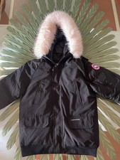 canada goose