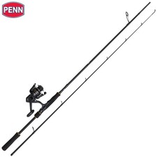 PENN canna da spinning pesca