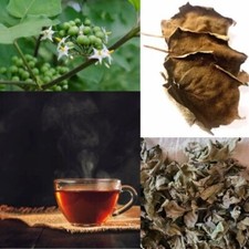 Foglie di bacche di tacchino