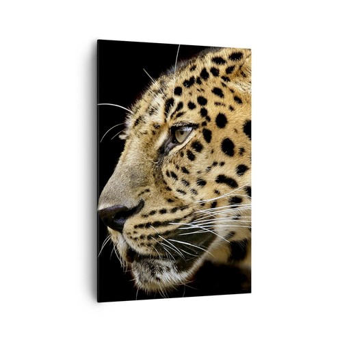 Quadro tela 80x120cm - su,