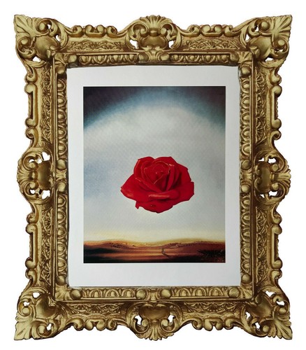 Quadro salvador dalì rosa - salvador,
