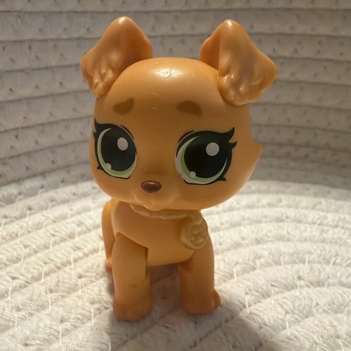 Zuru surprise pet rescue - surprise,