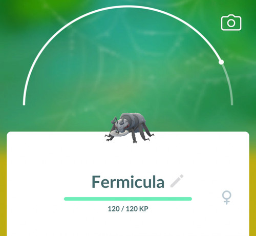 Pokemon fermicula 0632 - 👻pokemon,