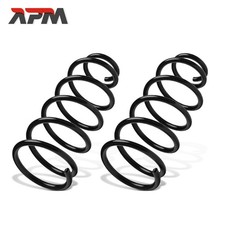 2X Molle Ammortizzatori