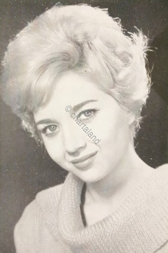 Cartoncino fotografico - cartoncino,