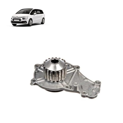Pompa acqua per citroen - acqua,