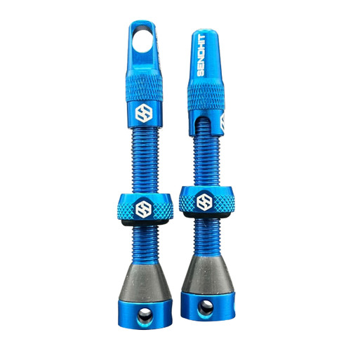 Valvole tubeless smontabile - valvole,