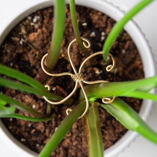 Monstera set supporto - set,