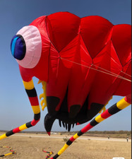 2025nuovo aquilone morbido 16