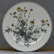 Villeroy & Boch Botanica 1 di