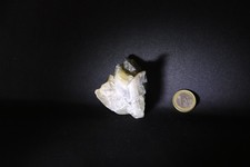 Gesso "coda di rondine", Scansano. Minerali, cristalli.