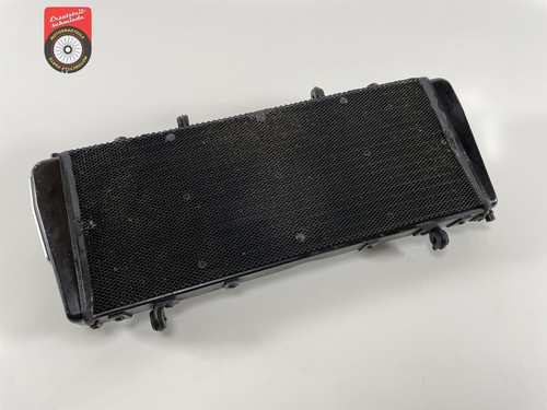 Radiatore acqua aprilia tuono - radiatore,