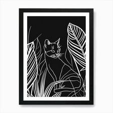 Exotic Shorthair Cat