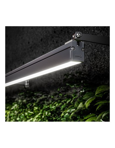Iguzzini linealuce led - led, warm