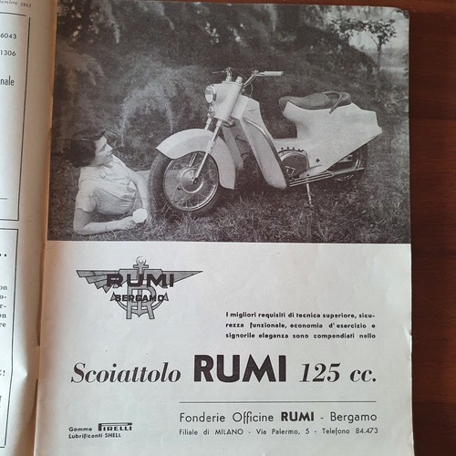 Moto rumi scoiattolo advert - ,