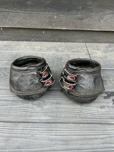 Stivali cavallo con zoccoli - cavallo,