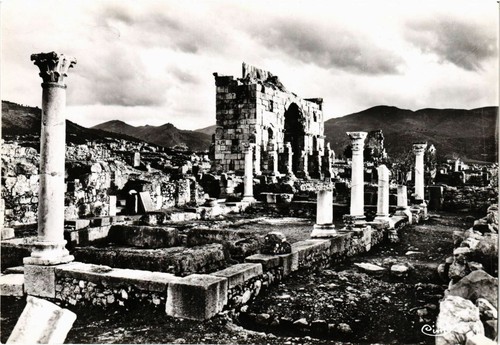 Cpm maroc volubilis - maroc,