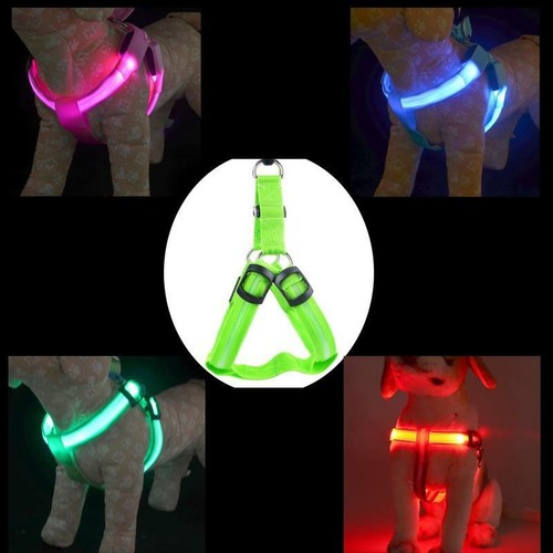 Add ship led flash - led, cintura