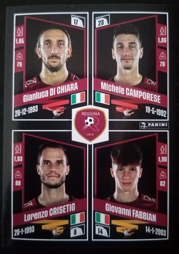 Figurina calciatori panini - figurina,