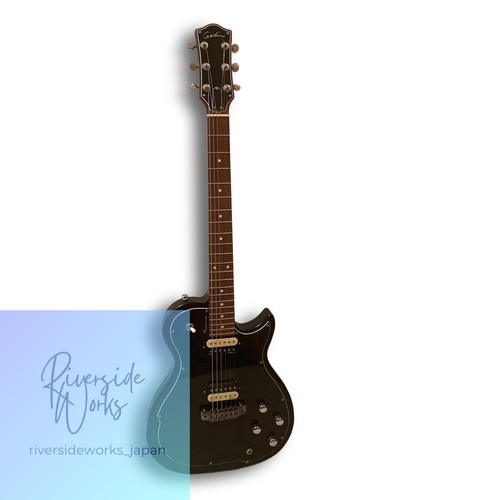 Godin radiator chitarra - radiator,