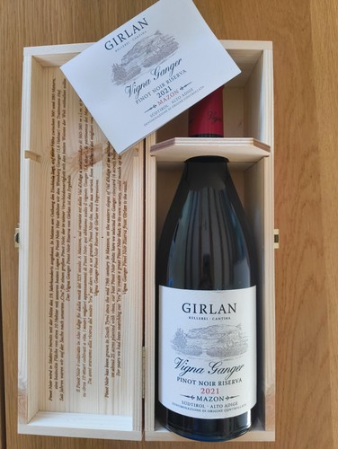 Vigna ganger 2021 mazzon pinot - vigna,