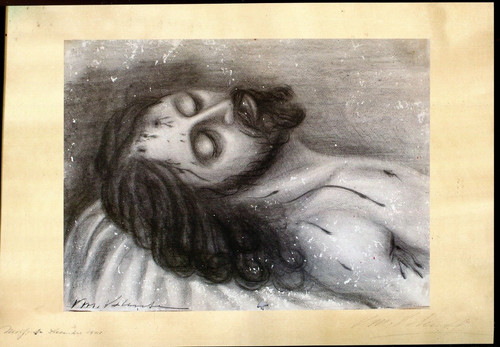 Domenica delle palme - domenica,