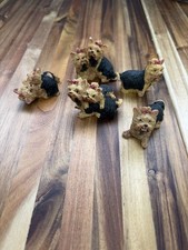 Lot of 6 Yorkshire Terrier Dog