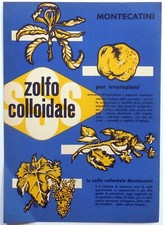  volantino BROCHURE PUBBLICITARIO ZOLFO COLLOIDALE montecatini 1950s insetticida