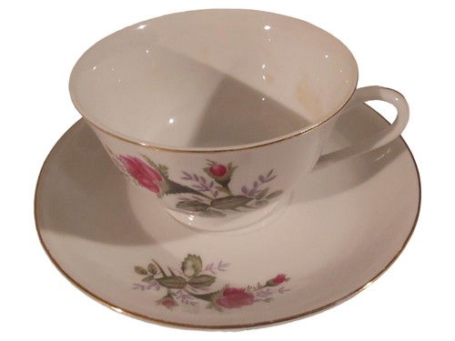 Noritex tazza piattino - tazza,