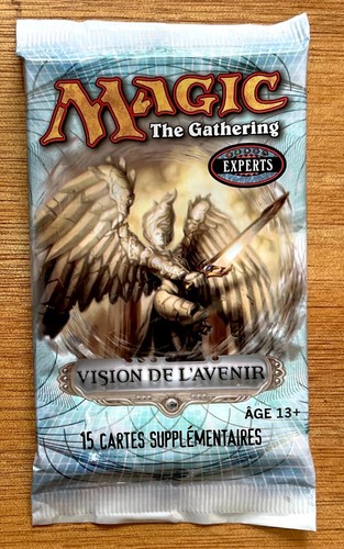 Vision avenir 1 - l'avenir,