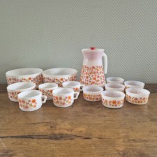 Vintage Arcopal Scania France