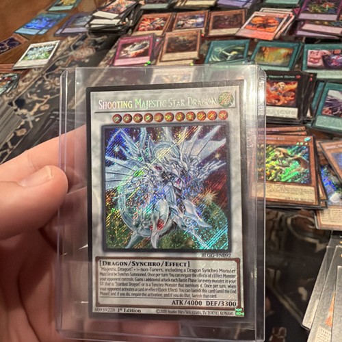 Spara maestoso drago - maestoso,
