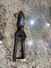 ANTICA FORBICE CESOIA POTATURA italicus GIARDINAGGIO D'EPOCA VINTage 25,5cm