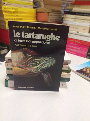 Mancini tartarughe di - mancini,
