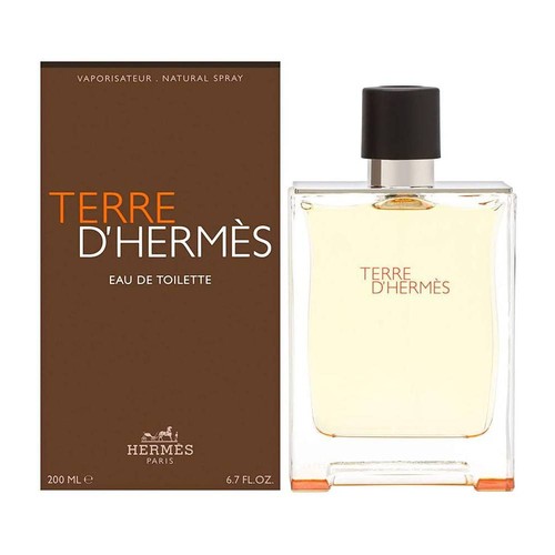 Hermes paris terre - hermes,