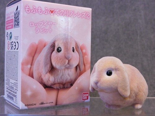 Tenori friends nuovo lop ear - tenori, *