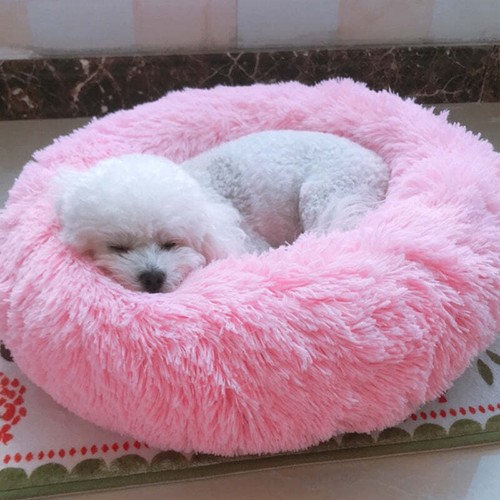 Produttori cuccia per cani