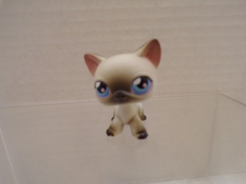 Littlest pet shop gatto - littlest,