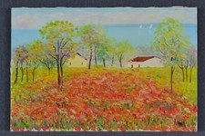 IALENTI Antonio Paesaggio campo papaveri olio su tela 40x60  " Cascella "