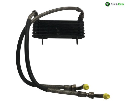 Radiatore olio ducati - radiatore,