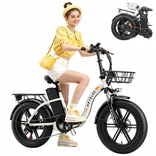 Bicicletta elettrica - bicicletta,