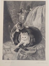 HENRIETTE RONNER Gattini