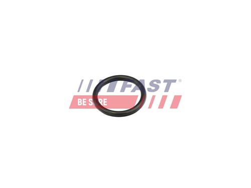 Fast ft49856 guarnizione tubo - fast, guarnizione,