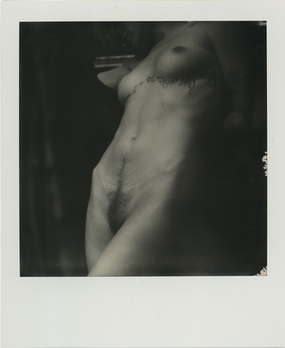 Quadro polaroid nudo originale - quadro,