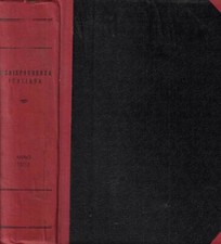 Giurisprudenza italiana e la