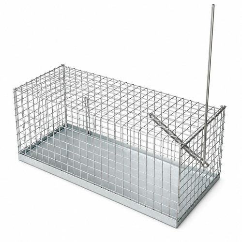 Trappola gabbia cattura - trappola,