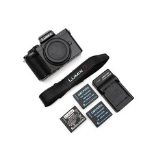 Panasonic LUMIX DC-G100 20,3