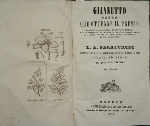 Giannetto