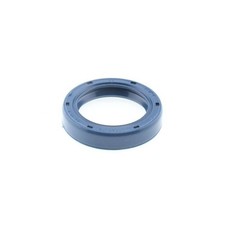 Paraolio. Pompa Iniezione