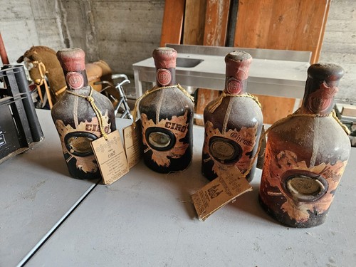 Vino collezione bertolo - vino,